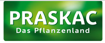 Basenbox Gutscheincodes 