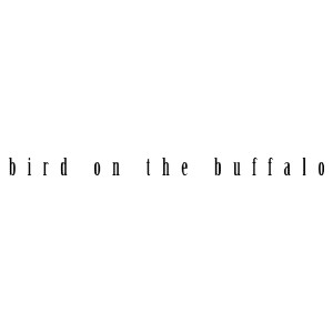 Bird On The Buffalo