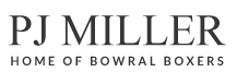 Bolster Promo Codes 