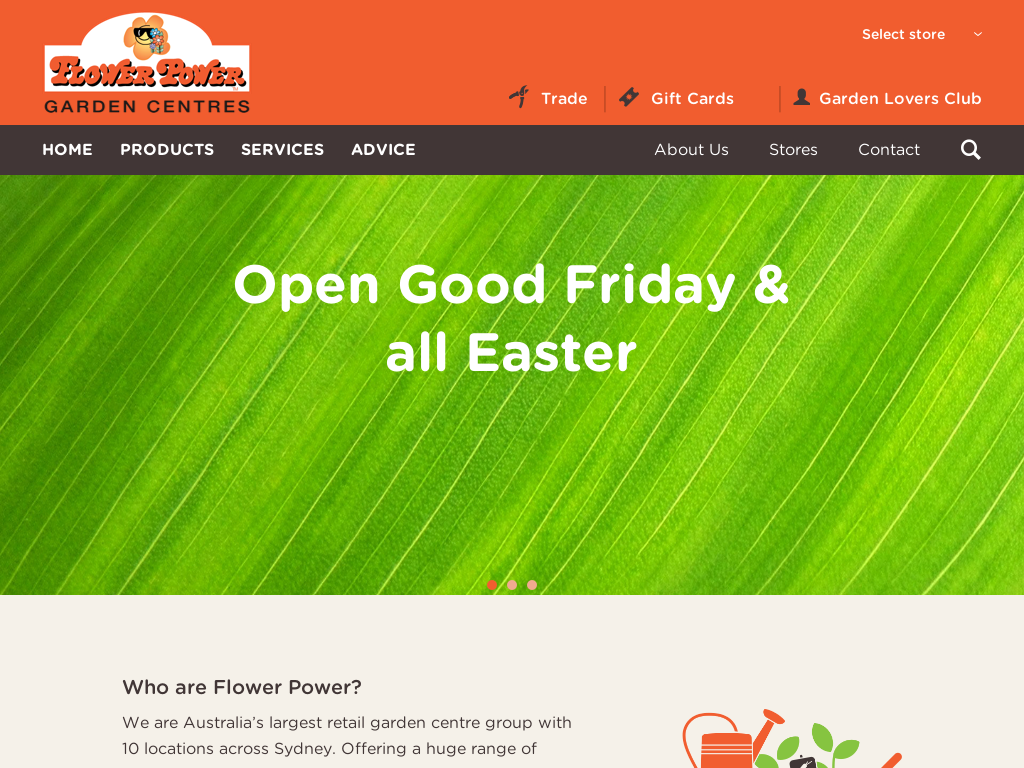 Food For Everyone Promo Codes 