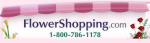 French Sweet Promo Codes 