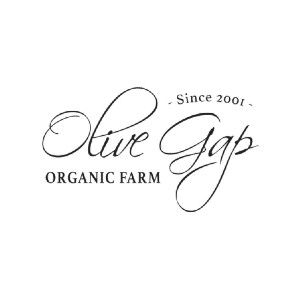 Honey Apparel Promo Codes 