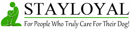BN Healthy Promo Codes 