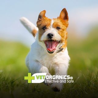 Villa Thalgo Promo Codes 