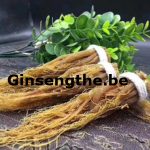 Ginsengthe.be