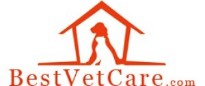 Mailer Best Vet Care