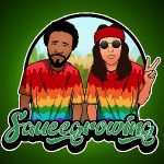 SauceGrowing