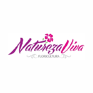 Insinuante Código Promocional 