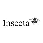 Insecta Shoes