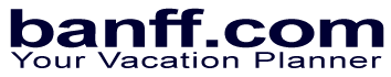 Amazing Sayou Coupon Codes & Offers 