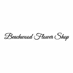 Steves Blinds And Wallpaper Coupon Codes & Offers 