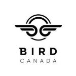 Three Bird Nest Coupon Codes & Offers 