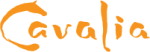 TIDIFY Coupon Codes & Offers 