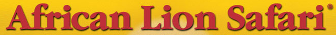 Second Cup Coupon Codes & Offers 