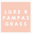 Luxe B Pampas Grass