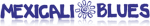 Bottes Anfibio Coupon Codes & Offers 