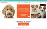 Marigold Shadows Coupon Codes & Offers 