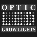Radically Aesthetic Designs Coupon Codes & Offers 
