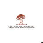 Bobbleheads Canada Coupon Codes & Offers 