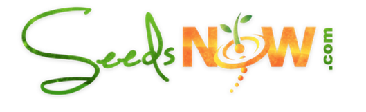 Minted Coupon Codes & Offers 