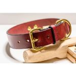 Live Fast Gear Coupon Codes & Offers 