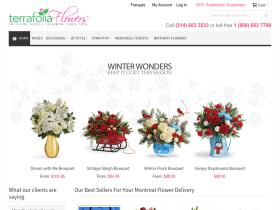 Kms Tools Coupon Codes & Offers 