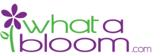 Wabanaki Maple Coupon Codes & Offers 