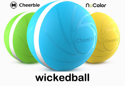 Wicked Ball