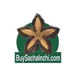 Buy Sacha Inchi