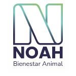 Noah Bienestar Animal