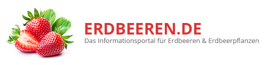 Erdbeeren.de