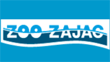 Zajac