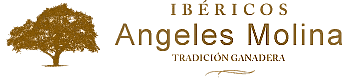 ThemesPixel Código Promocional 