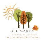 Ortoweb Código Promocional 