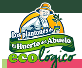 1990s Código Promocional 