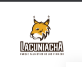 Decisiones De Vida Código Promocional 