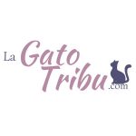 StrategyQuant Código Promocional 