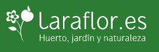 Laraflor