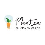 Motleydev Código Promocional 