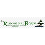 Rincón Del Bonsai