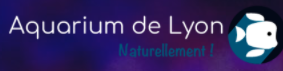 Geekmemore Codes Réduction & Codes Promo 