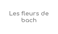 Fazup Codes Réduction & Codes Promo 