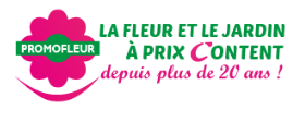 Setam Codes Réduction & Codes Promo 