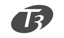 T3