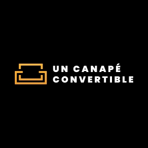 Un Canapé Convertible