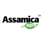 Assamica Agro