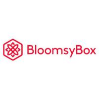 Blenxer Coupon Codes 