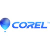 Spot Patch Coupon Codes 