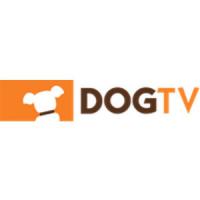 GETBOLDNESS Coupon Codes 