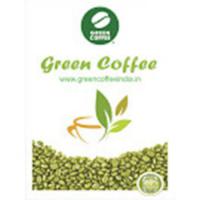 Solutions Mantra Coupon Codes 